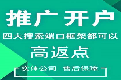行业头部企业的网站sem托管经验分享